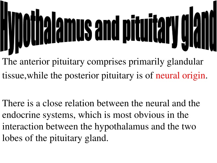 Static Equilibrium in Physics