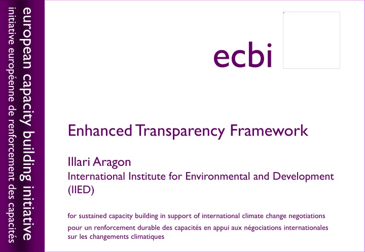 initiative europ enne de renforcement des capacit n.w