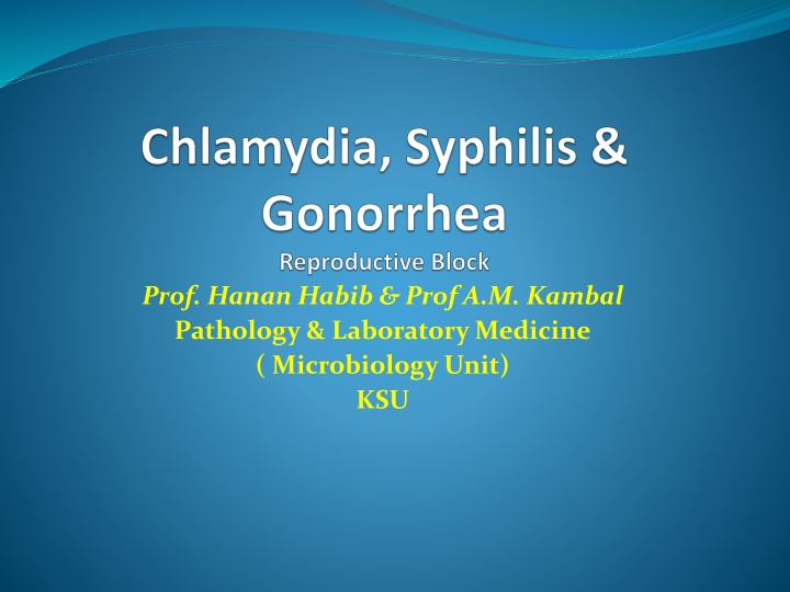 prof hanan habib prof a m kambal pathology n.w