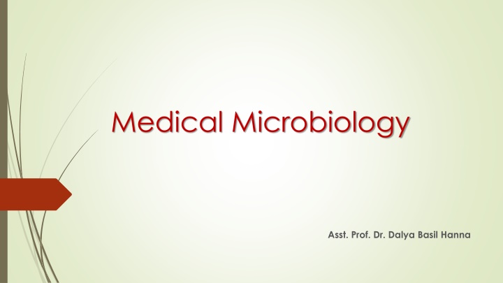Chlamydiae: Infectious Microorganisms and Developmental Cycle