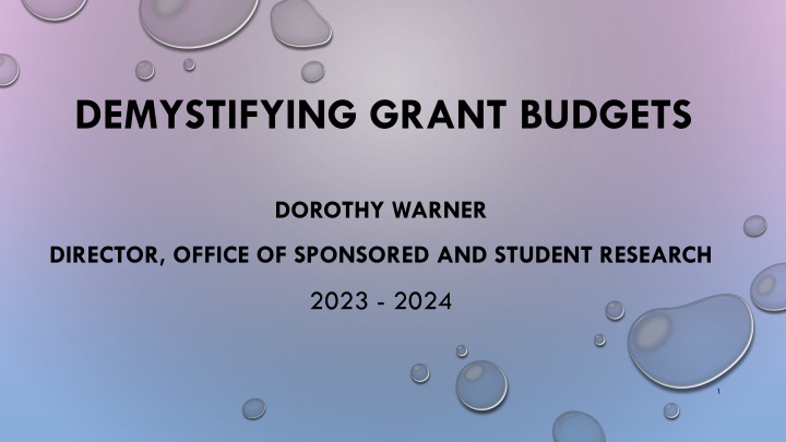 Demystifying Grant Budgets for Effective Funding
