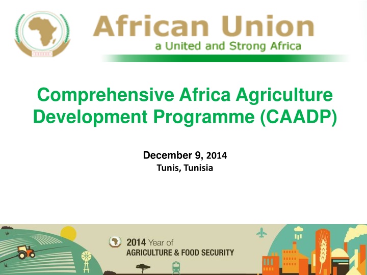 Comprehensive Africa Agriculture Development Programme (CAADP)