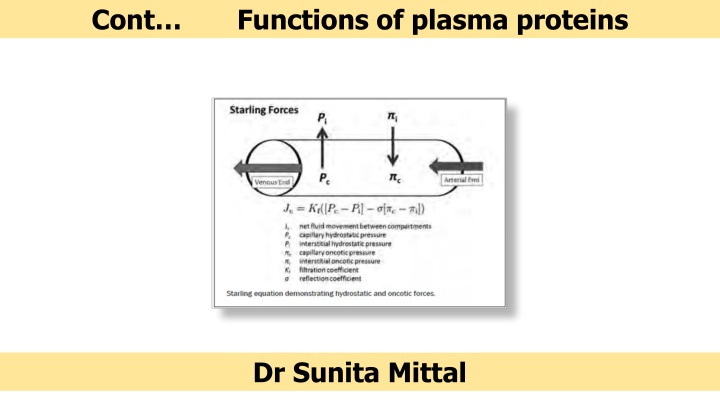 cont functions of plasma proteins n.w