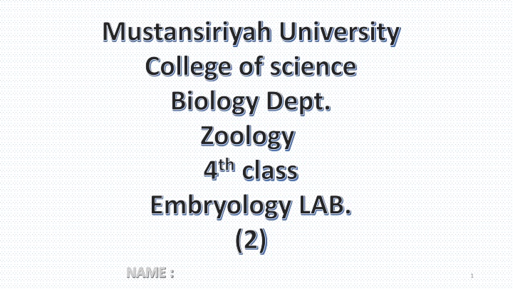 Embryonic Development in the Second Week: Bilaminar Disc Formation