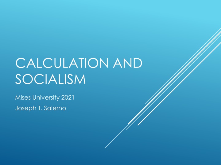 calculation and socialism n.w