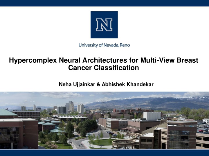 hypercomplex neural architectures for multi view n.w
