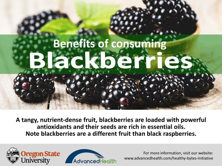 Health Benefits of Consuming Blackberries - Nutrient-Dense Superfood