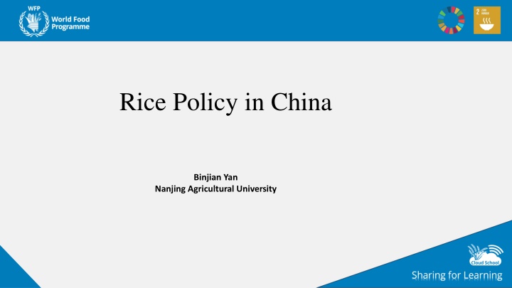 rice policy in china n.w