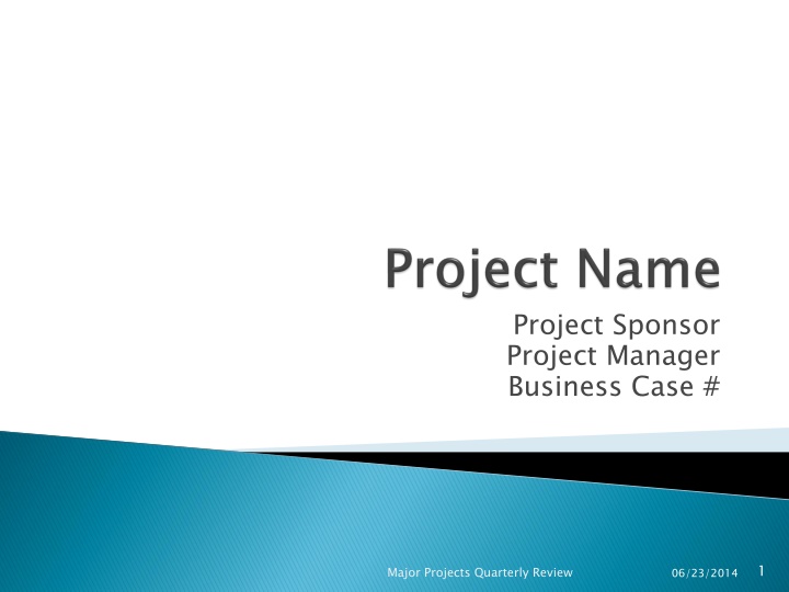 Project Sponsor & Manager Business Case Review