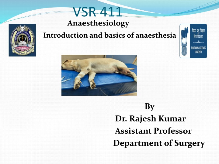 vsr 411 anaesthesiology n.w