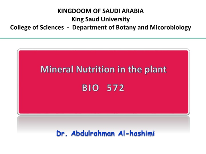 Plant Nutrient Assimilation: Understanding Mineral Nutrition
