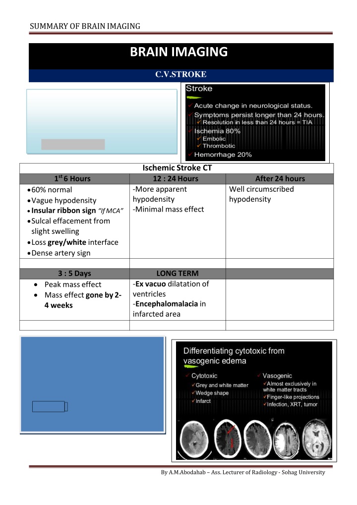 summary of brainimaging n.w