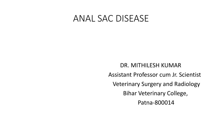 Anal Sac Disease in Dogs