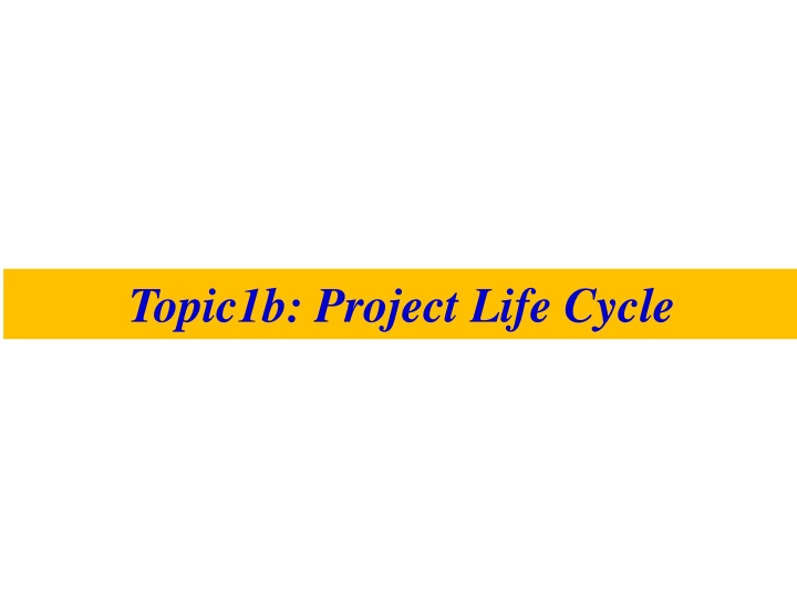 Project Life Cycle Phases and Implementation