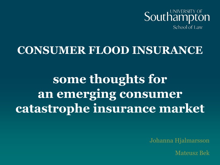 Consumer Flood Insurance Market Overview