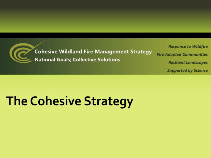 slide1 n.w