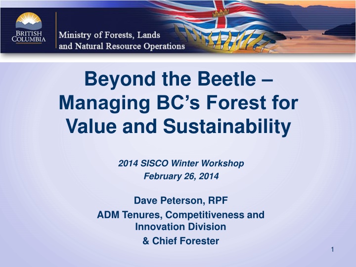 Managing BC's Forest for Value and Sustainability