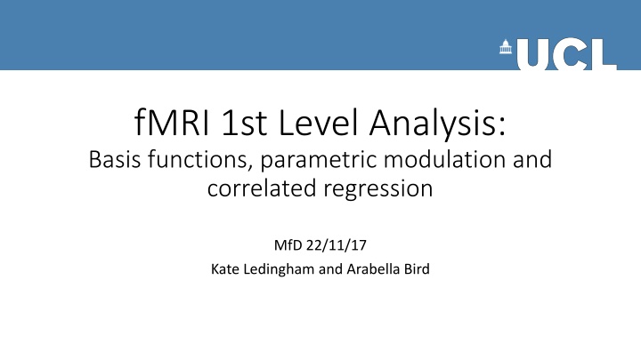 fmri 1st level analysis basis functions n.w