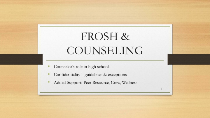 School Counseling Initiatives for High School Students