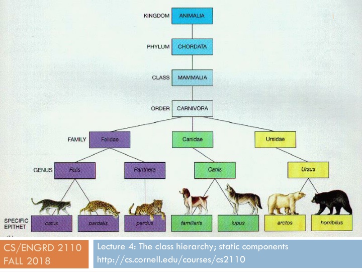 slide1 n.w
