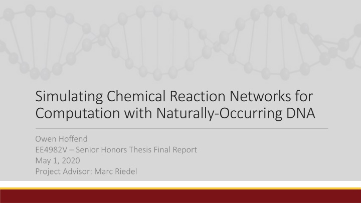Simulating Chemical Reaction Networks for Computation with DNA