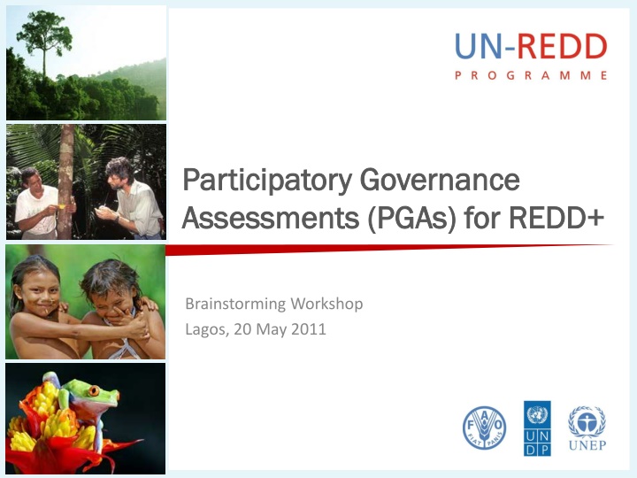 participatory governance participatory governance n.w