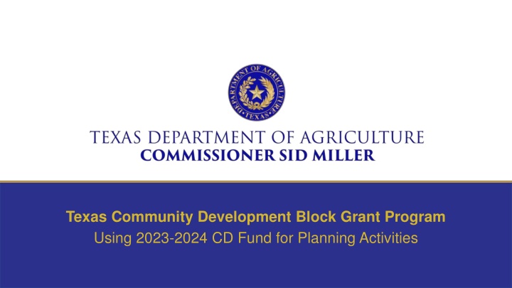 texas community development block grant program n.w