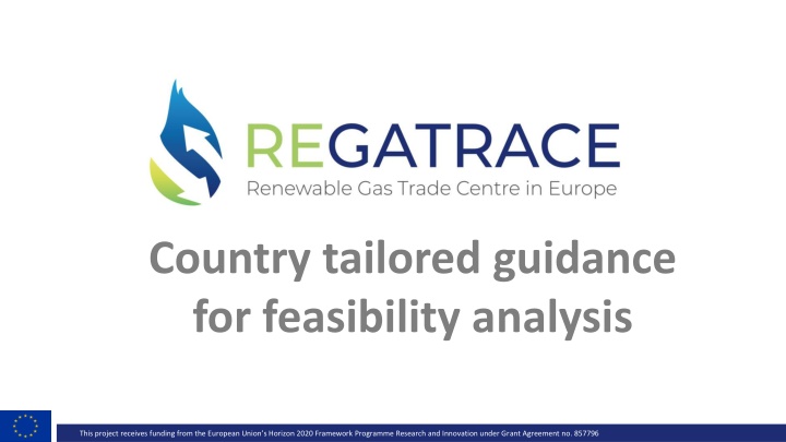 country tailored guidance for feasibility analysis n.w
