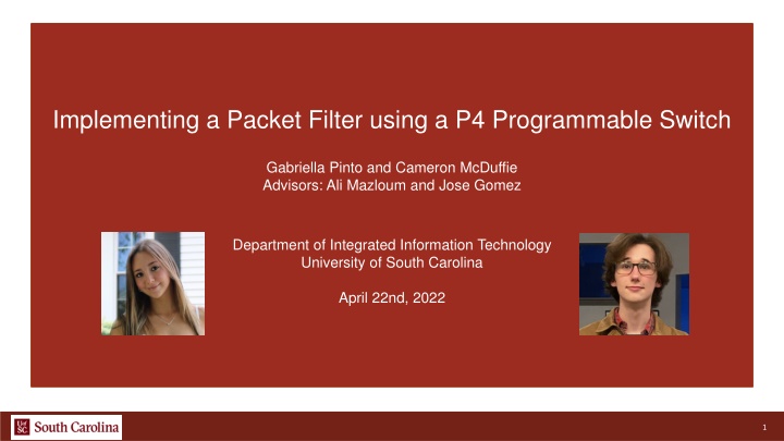 implementing a packet filter using n.w