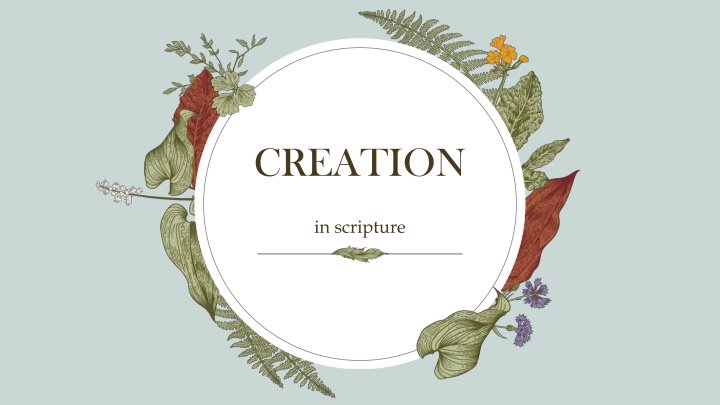creation n.w