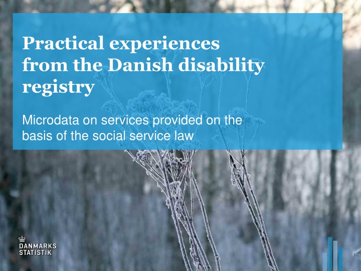 practical experiences from the danish disability n.w