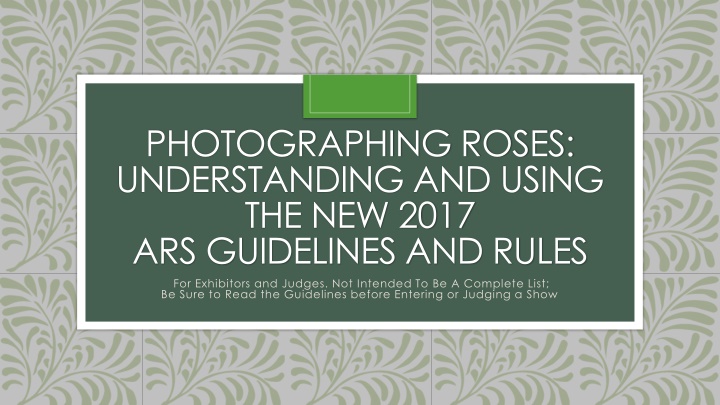 photographing roses understanding and using n.w