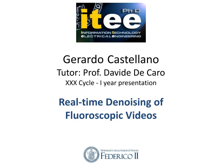 gerardo castellano tutor prof davide de caro n.w