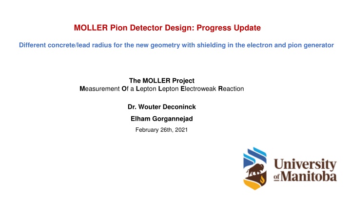 moller pion detector design progress update n.w