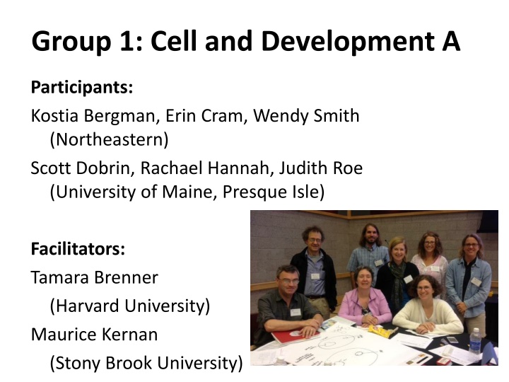 group 1 cell and development a n.w