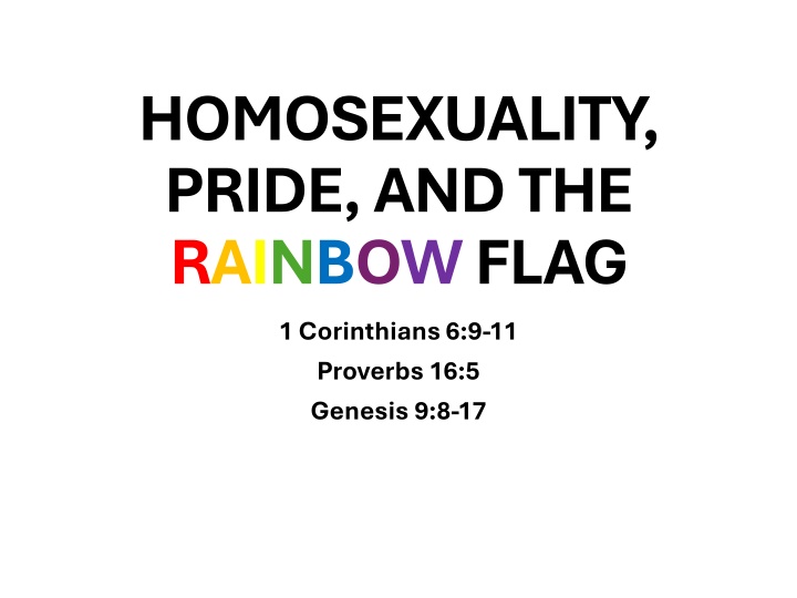 homosexuality pride and the rainbowflag n.w