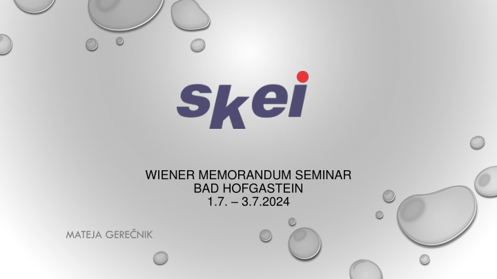 wiener memorandum seminar bad hofgastein n.w