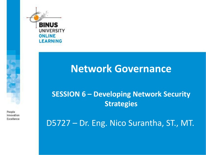 network governance n.w