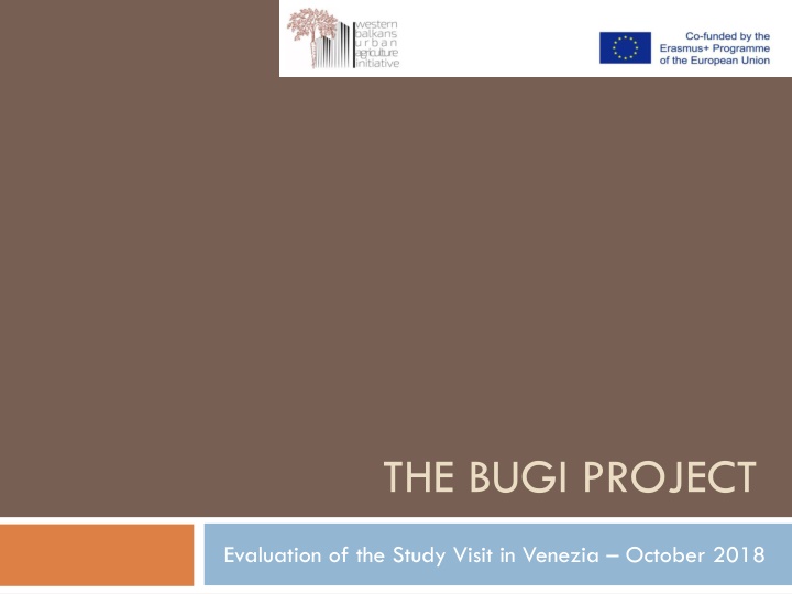 the bugi project n.w