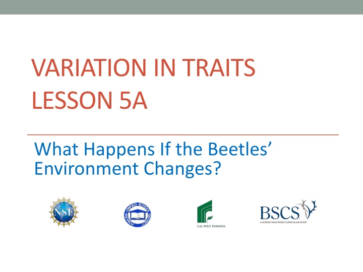 variation in traits lesson 5a n.w