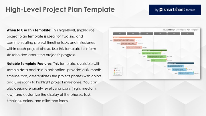 high level project plan template n.w