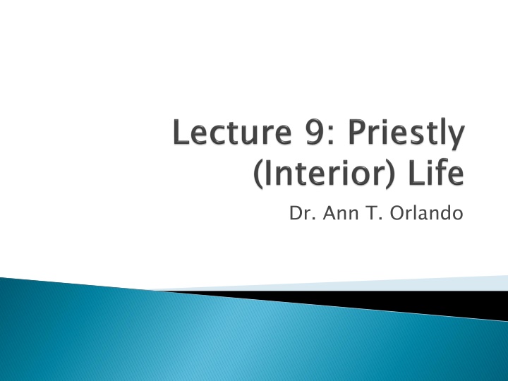 dr ann t orlando n.w
