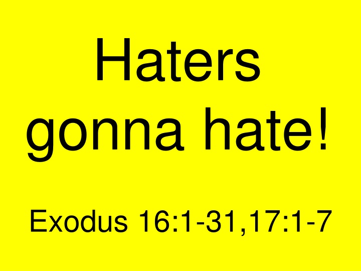 haters gonna hate n.w