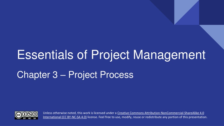 essentials of project management n.w