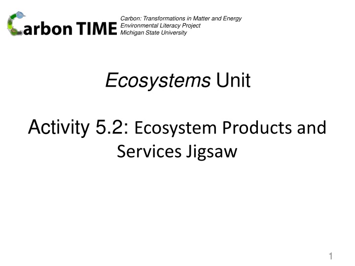 Carbon Transformations and Ecosystem Dynamics