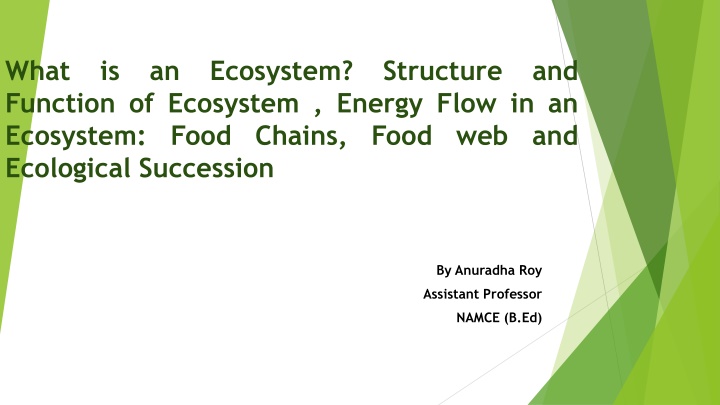 what function of ecosystem energy flow n.w