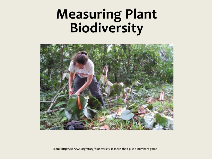 measuring plant biodiversity n.w