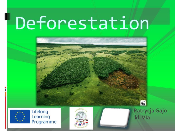 deforestation n.w