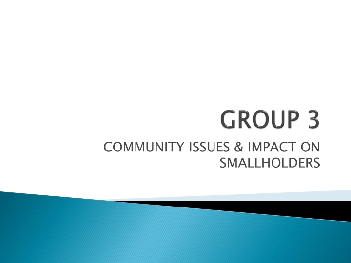 community issues impact on n.w