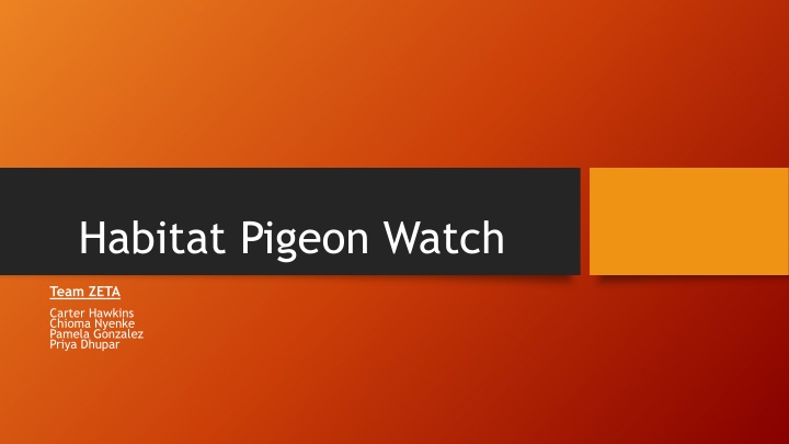 habitat pigeon watch n.w